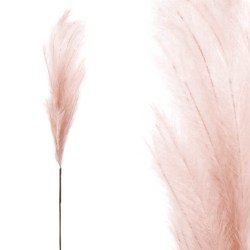 FOAM ΣΑΠΙΟ ΜΗΛΟ  PAMPAS - Y117/64cm 12/120KIB