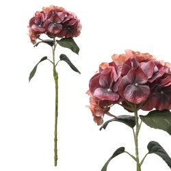 ΚΛΑΔΙ ΟΡΤΑΝΣΙΑ KOKKINO REAL TOUCH ΜΕ 12 ΣΤΕΛΕΧΗ - Υ65cm 12/120ΚΙΒ