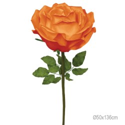 ΚΛΑΔΙ ΤΡΙΑΝΤΑΦΥΛΛΟ ΒΟΥΡΓΟΥΝΔΙ ΓΙΓΑΣ - Φ50x136cm 6/ΚΙΒ