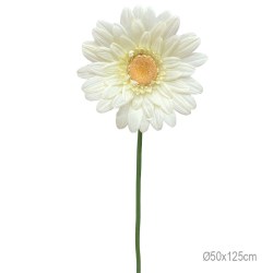 ΚΛΑΔΙ ΜΑΡΓΑΡΙΤΑ KITRINO ΓΙΓΑΣ - Φ50x125cm 24/ΚΙΒ